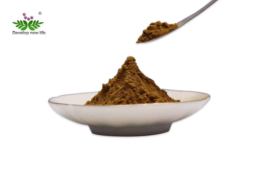Guava Leaf Extract Powder